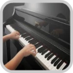 play piano android application logo